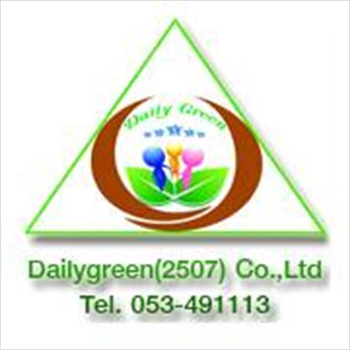 DATE PALMS - YOUNG PLANTS