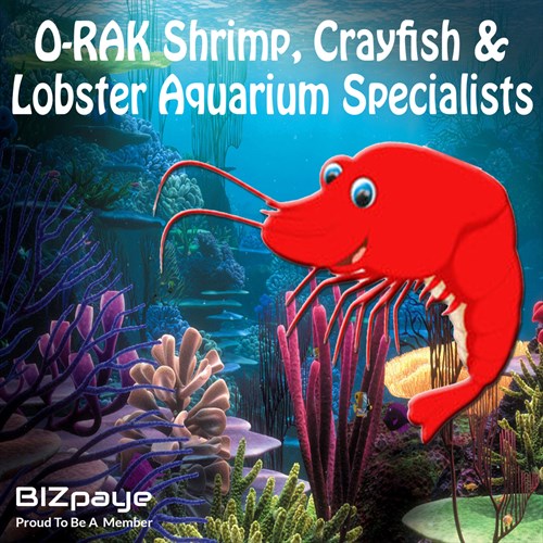 O-RAK Shrimp, Crayfish & Lobster Aquarium Specialists