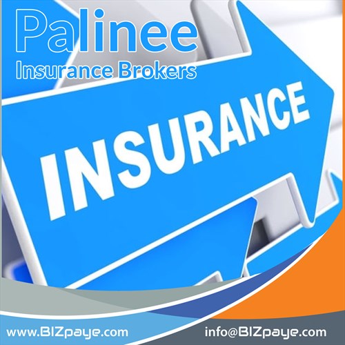 Palinee Insurance Brokers
