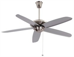 STYLISH CEILING FANS ON BIZPAYE