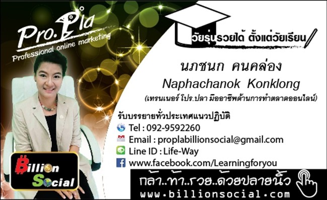 Pro.Pla Professional online marketing