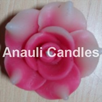ANAULI