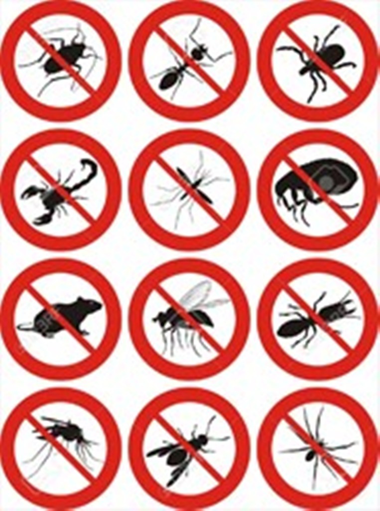 RESIDENTIAL PEST CONTROL ON 100% BIZpaye Trs