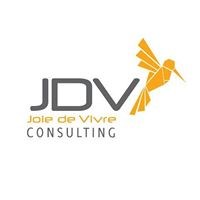 JDV CONSULTING 