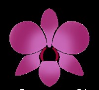 ORCHID COMPLETE MAKEOVER