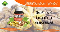 You9PLUS, SACHA INCHI Cold bean extracts