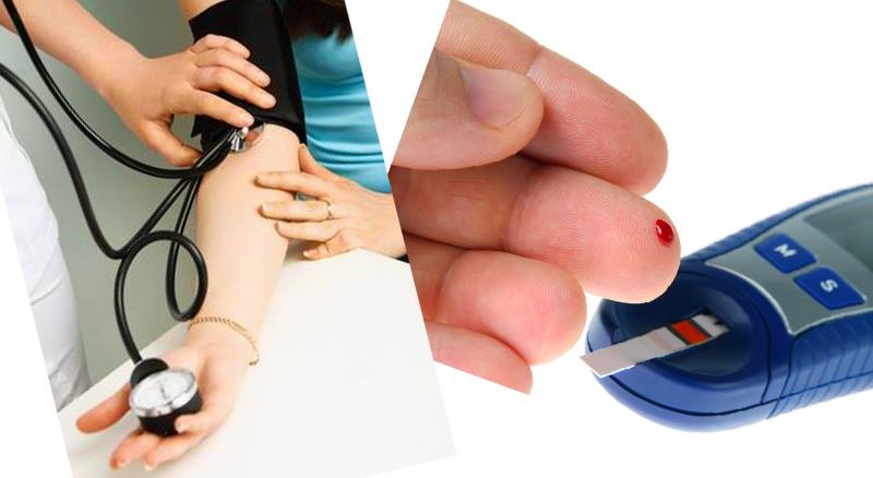 Berry Mix สปอร์น้ำเห็ด 8 สายพันธุ์ เพื่อสุขภาพ