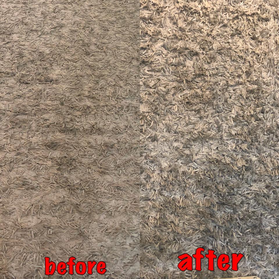 UV Clean Carpet
