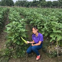 Nonthaya Foods supplies