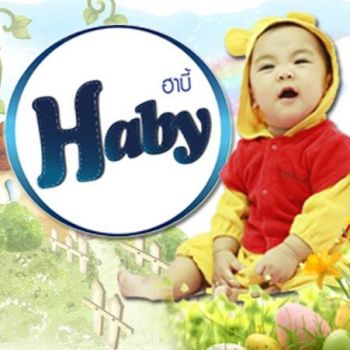 Haby Brand Professional Cleaning Products