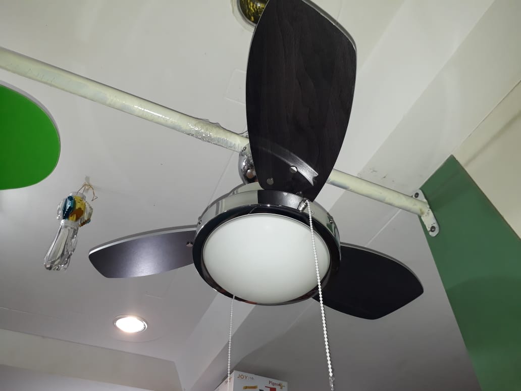 Westinghouse Ceiling Fan with Light on 70% BIZpaye Trs