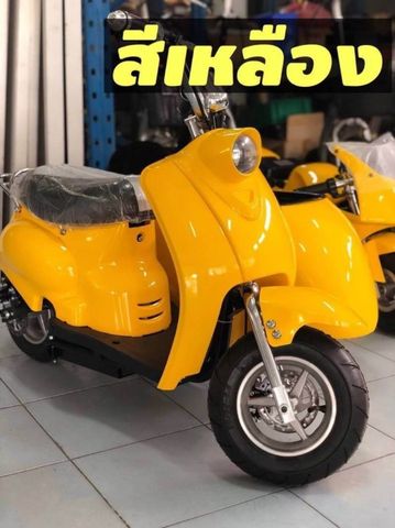 Electric Bike & Side Car - 50% BIZpaye