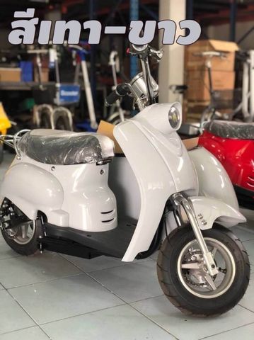 Electric Bike & Side Car - 50% BIZpaye