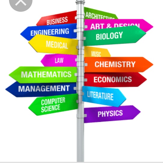 GET A LIFE TIME CAREER GUIDANCE / COUNSELLING ON 100% BIZPAYE