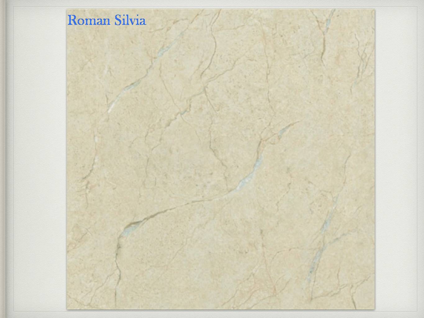 Royal Ciromics Tiles available in 50% BIZpaye Trs