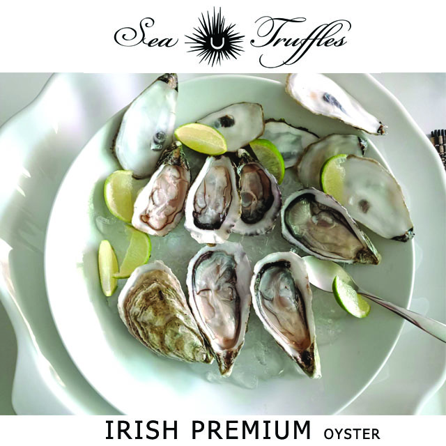 Irish Premium Oyster